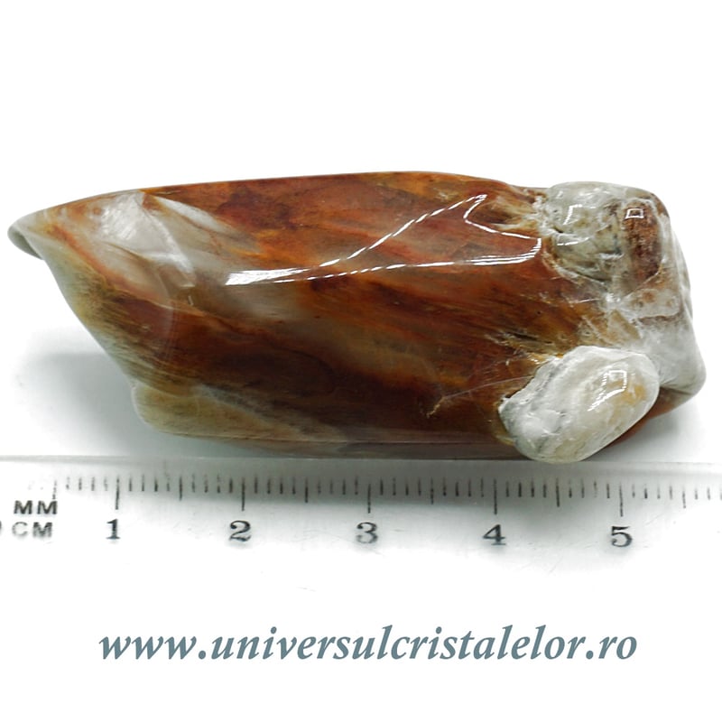 Cuart amfibol polisat