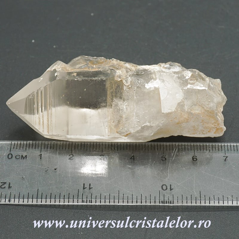 Cuart lemurian