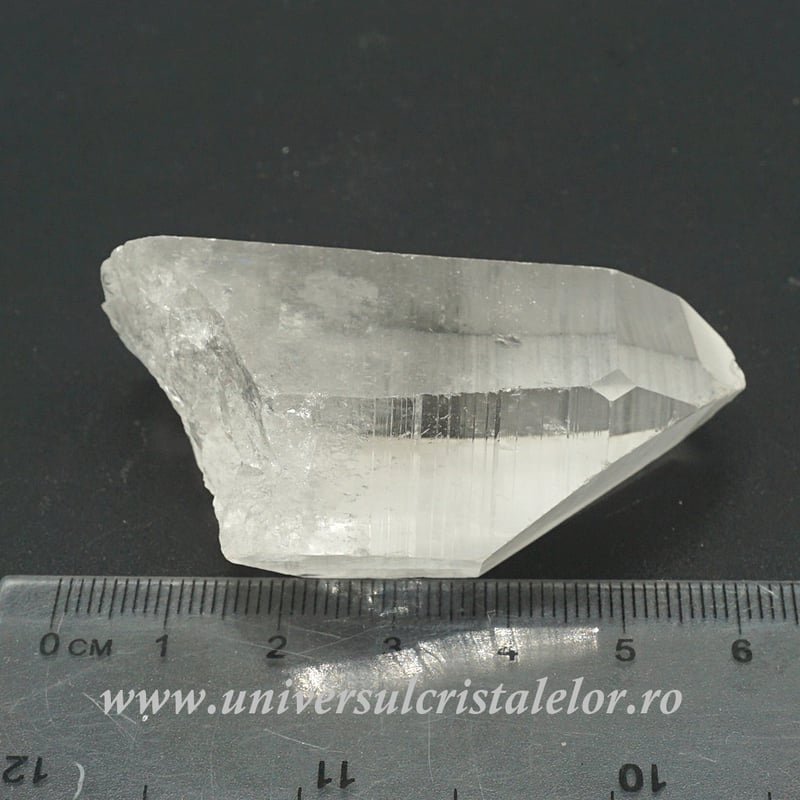 Cuart lemurian