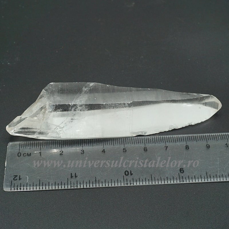 Cuart lemurian