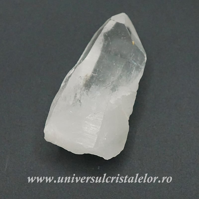 Cuart lemurian