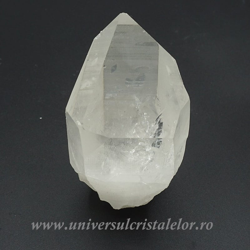Cuart lemurian