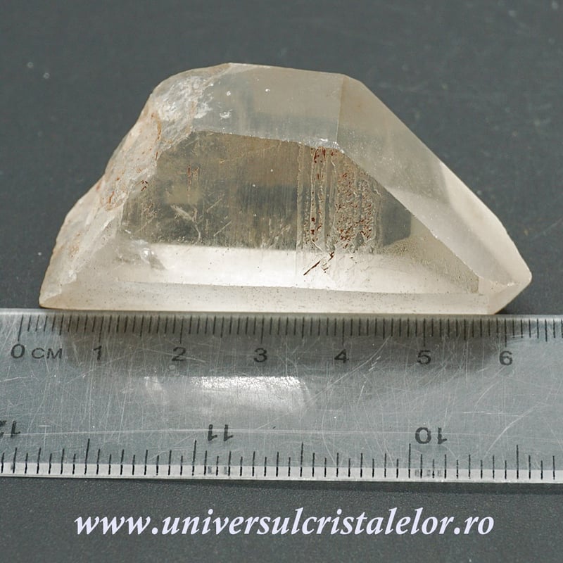 Cuart lemurian