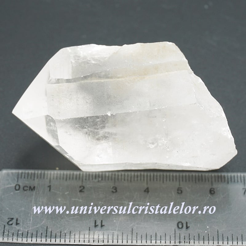 Cuart lemurian