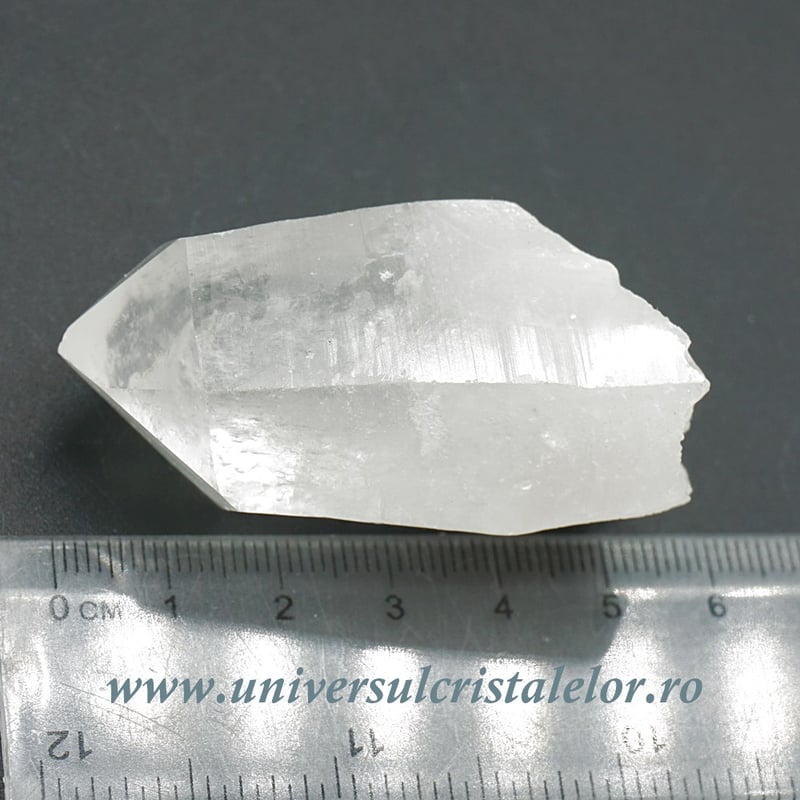 Cuart lemurian