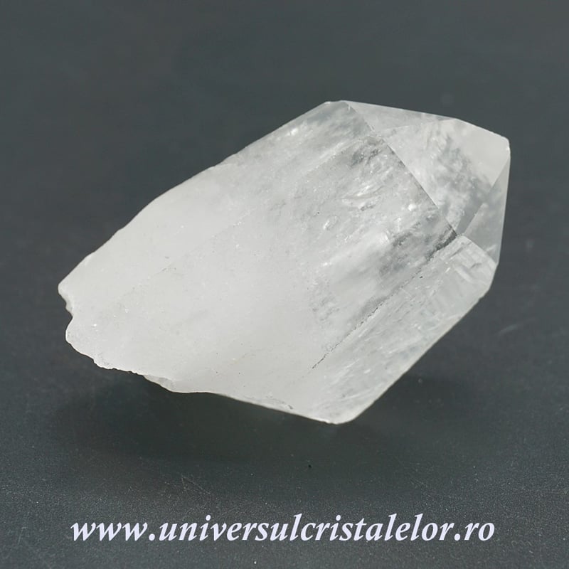 Cuart lemurian