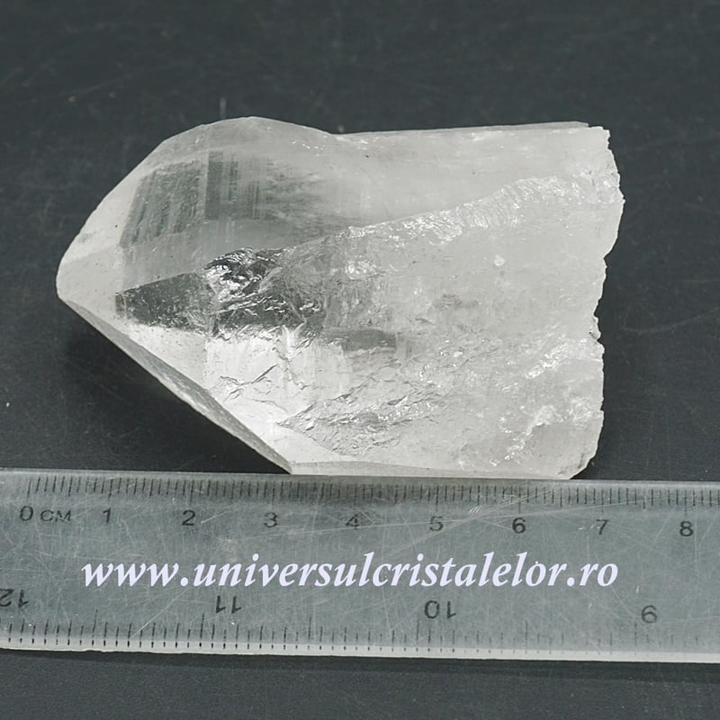Cuart lemurian