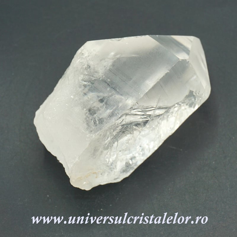 Cuart lemurian