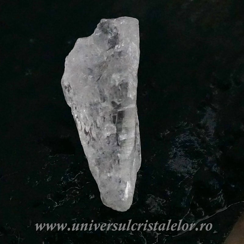 Cuart lemurian (radacina)