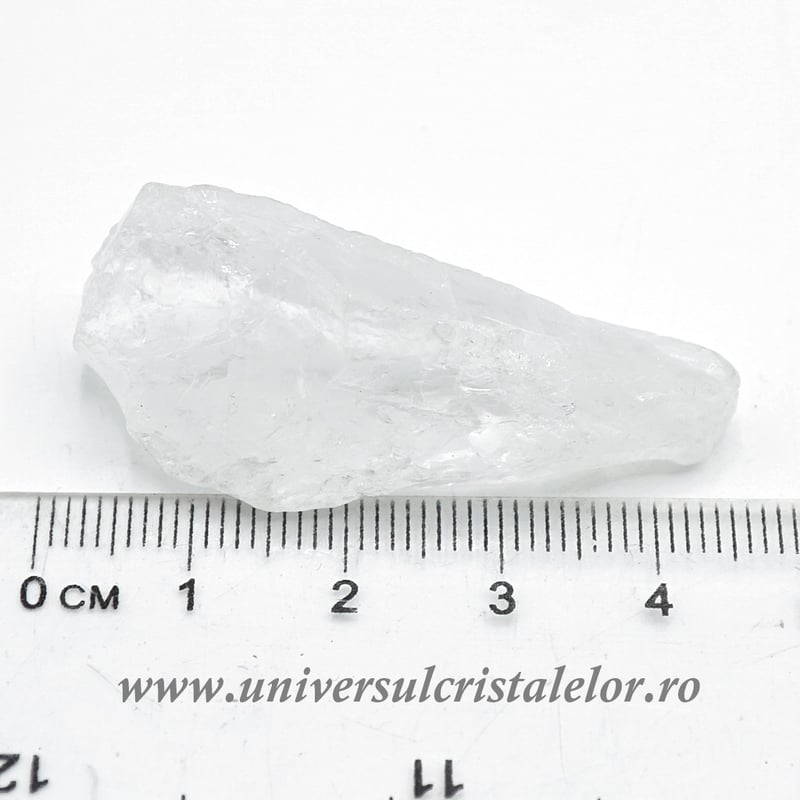 Cuart lemurian (radacina)