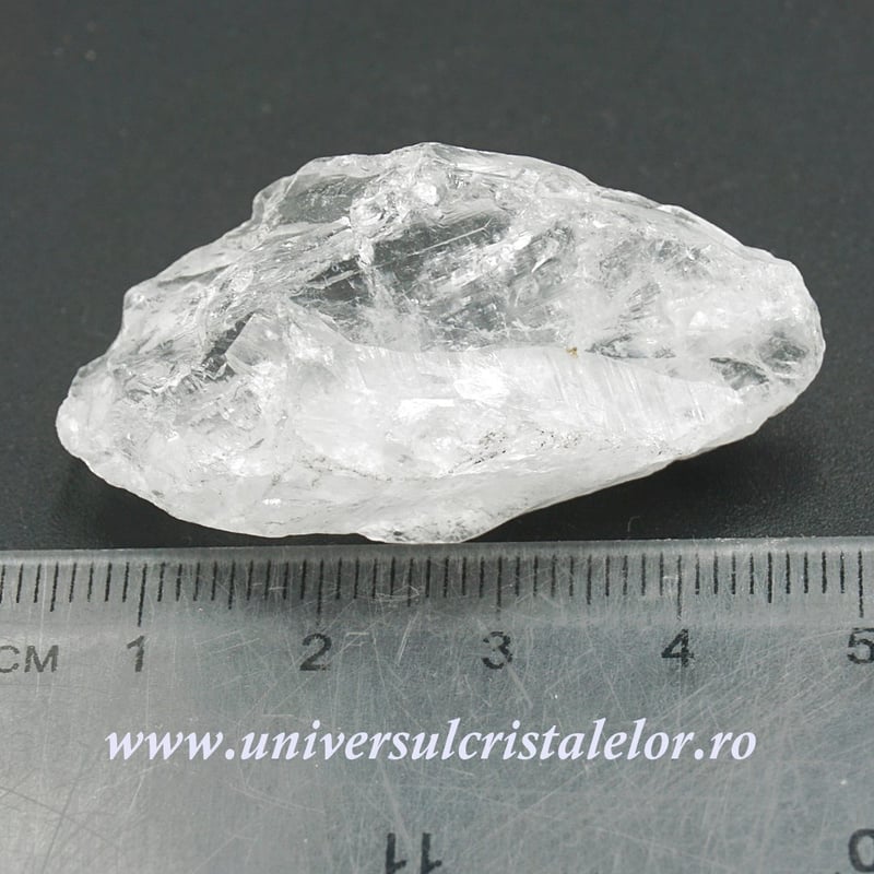Cuart lemurian (radacina)
