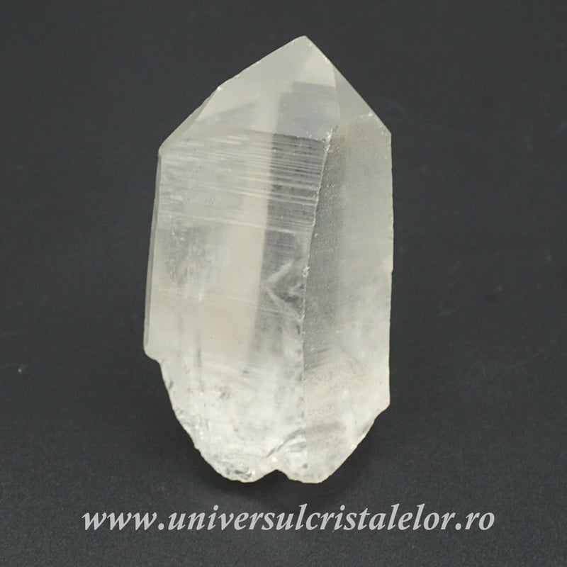 Cuart lemurian