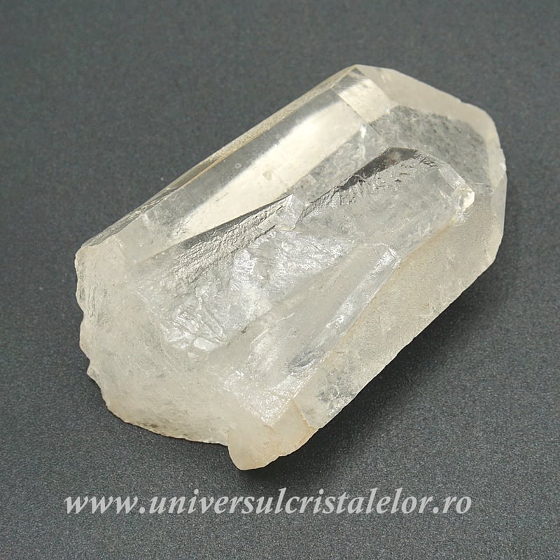 Cuart lemurian