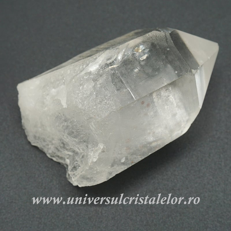 Cuart lemurian