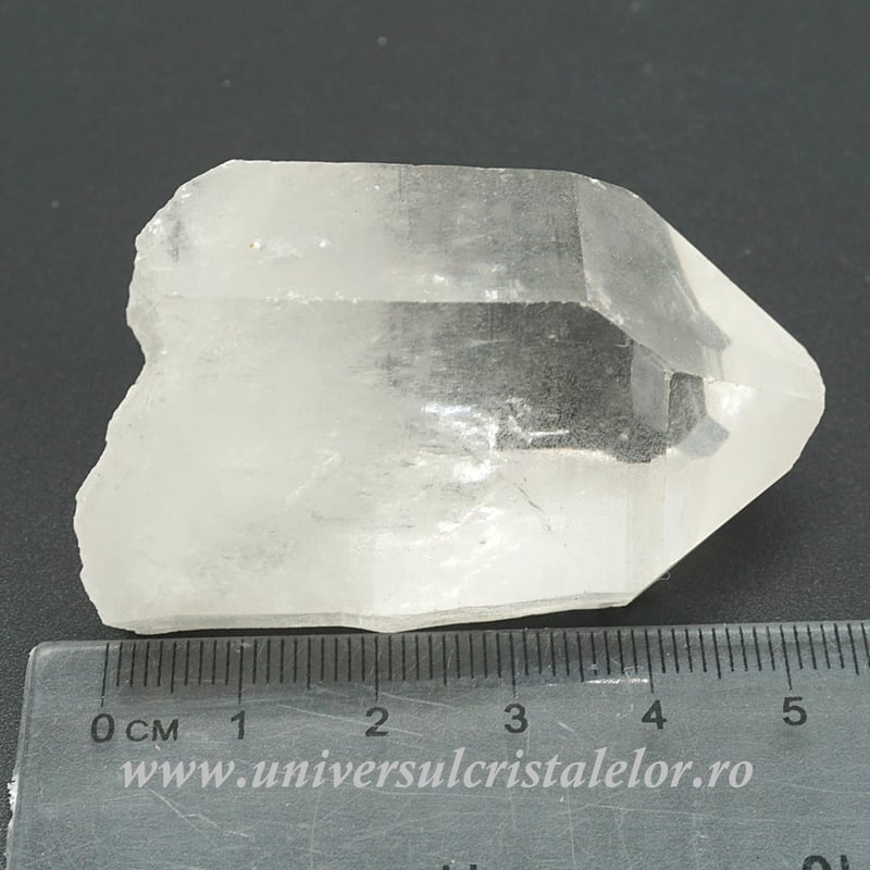 Cuart lemurian