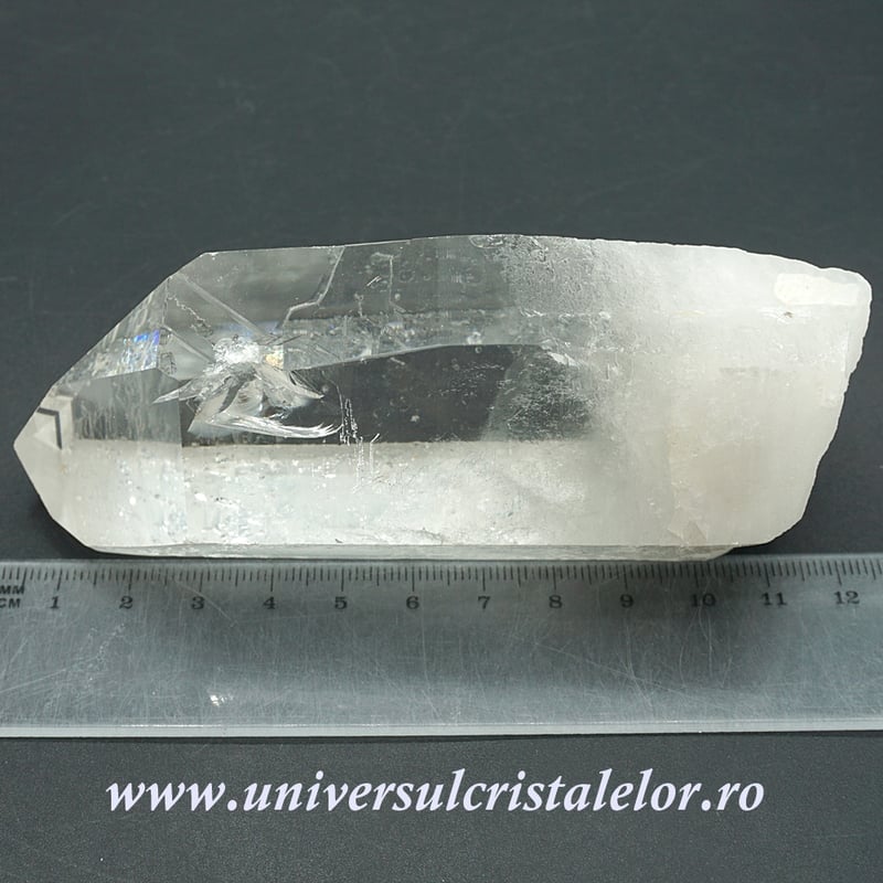 Cuart lemurian