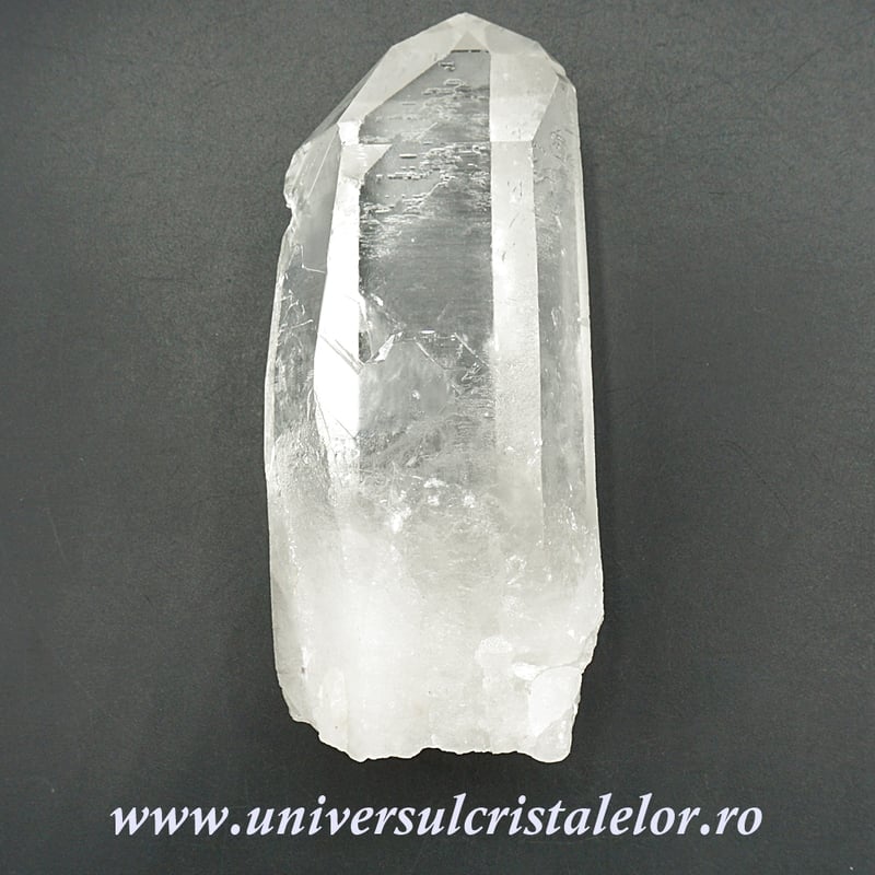 Cuart lemurian
