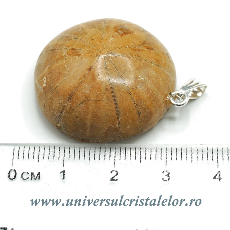 Pandantiv arici de mare