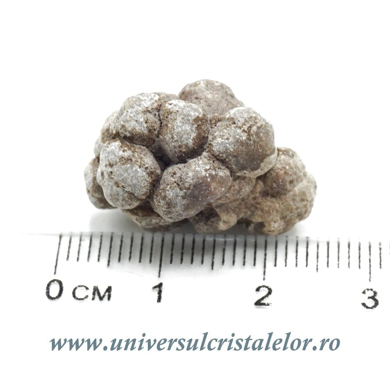 Coprolit de dinozaur