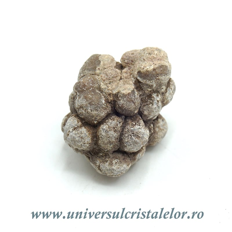 Coprolit de dinozaur