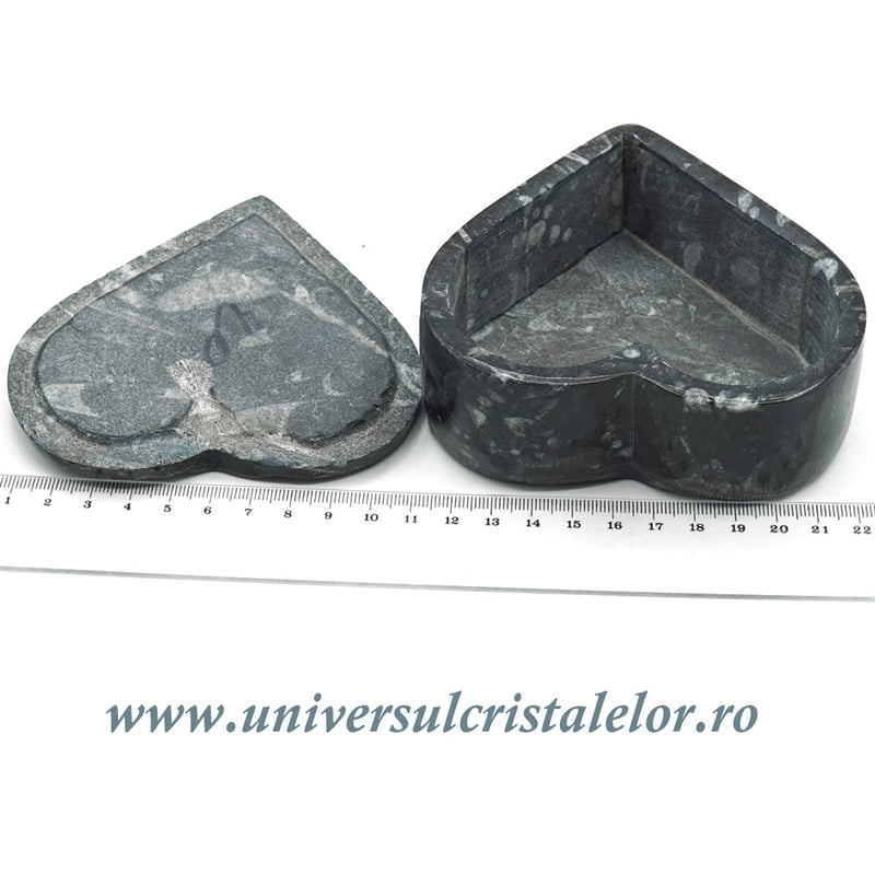 Caseta bijuterii orthoceras