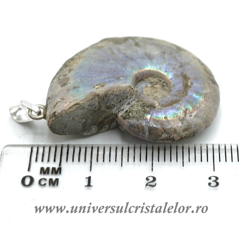 Pandantiv amonit cleoniceras