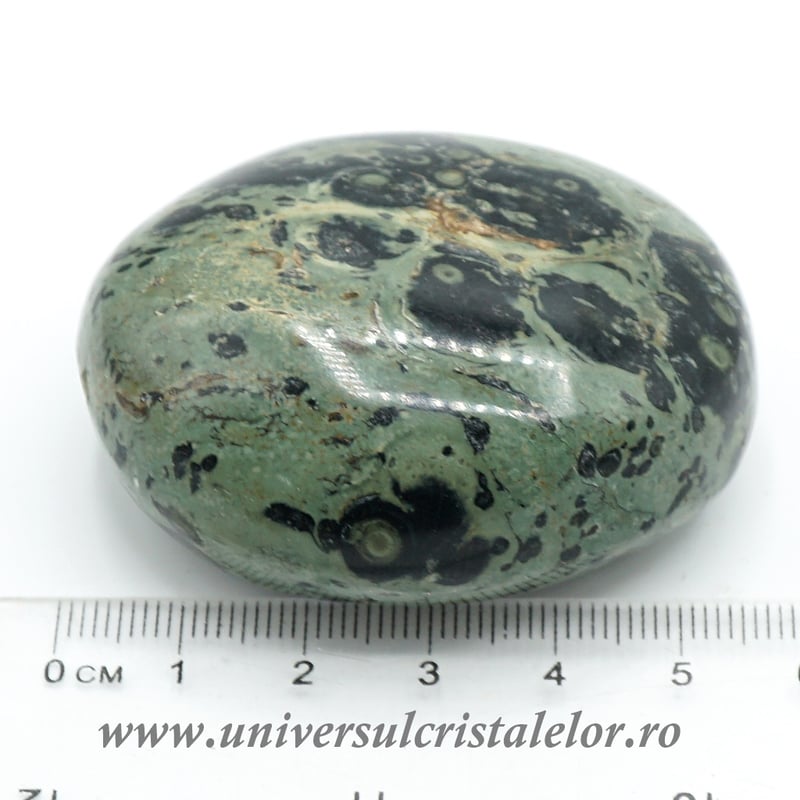 Jasp kambaba polisat