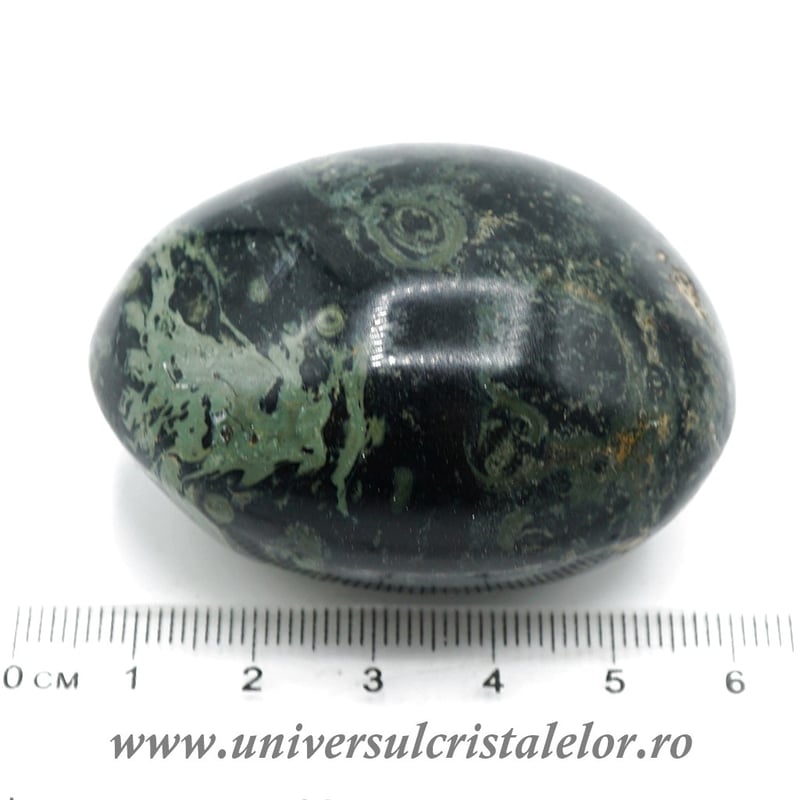 Jasp kambaba polisat