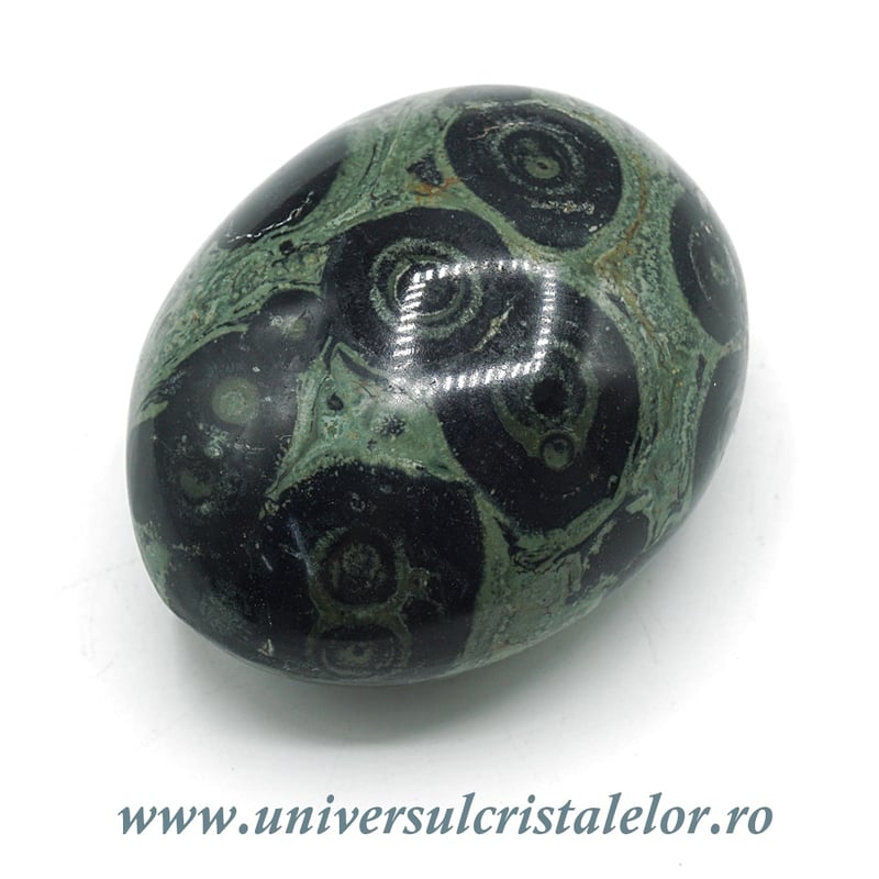 Jasp kambaba polisat