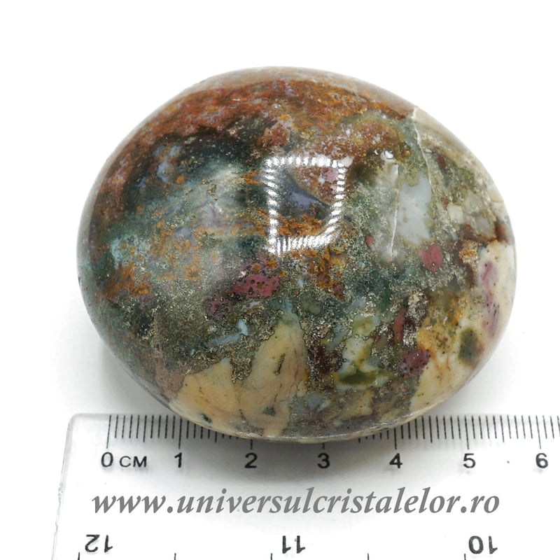 Jasp oceanic polisat