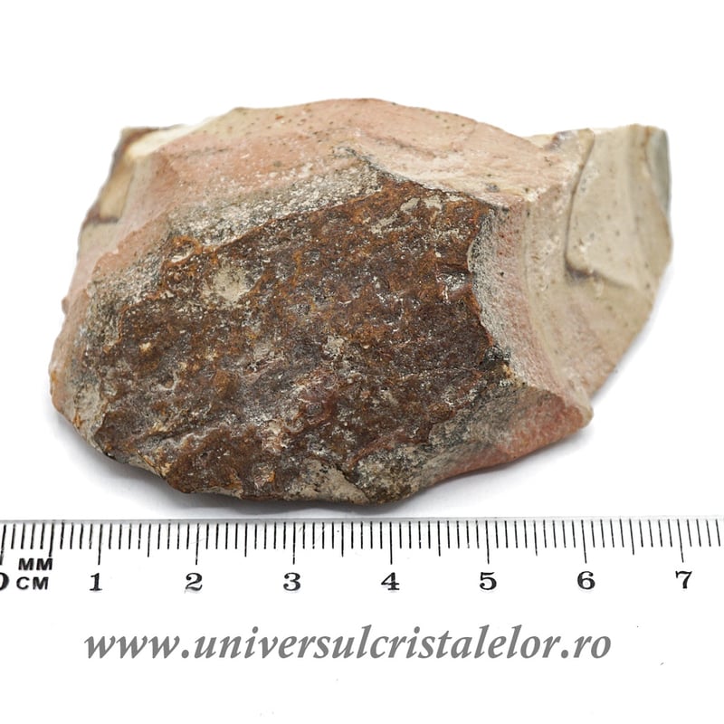 Jasp policrom polisat m1