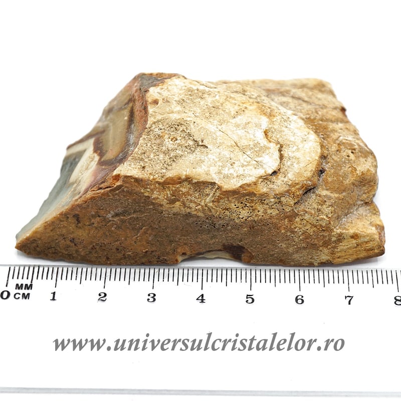 Jasp policrom polisat m2