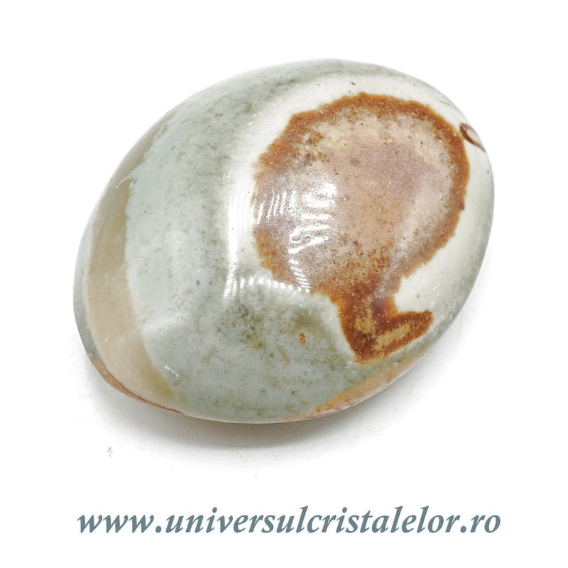 Jasp policrom polisat