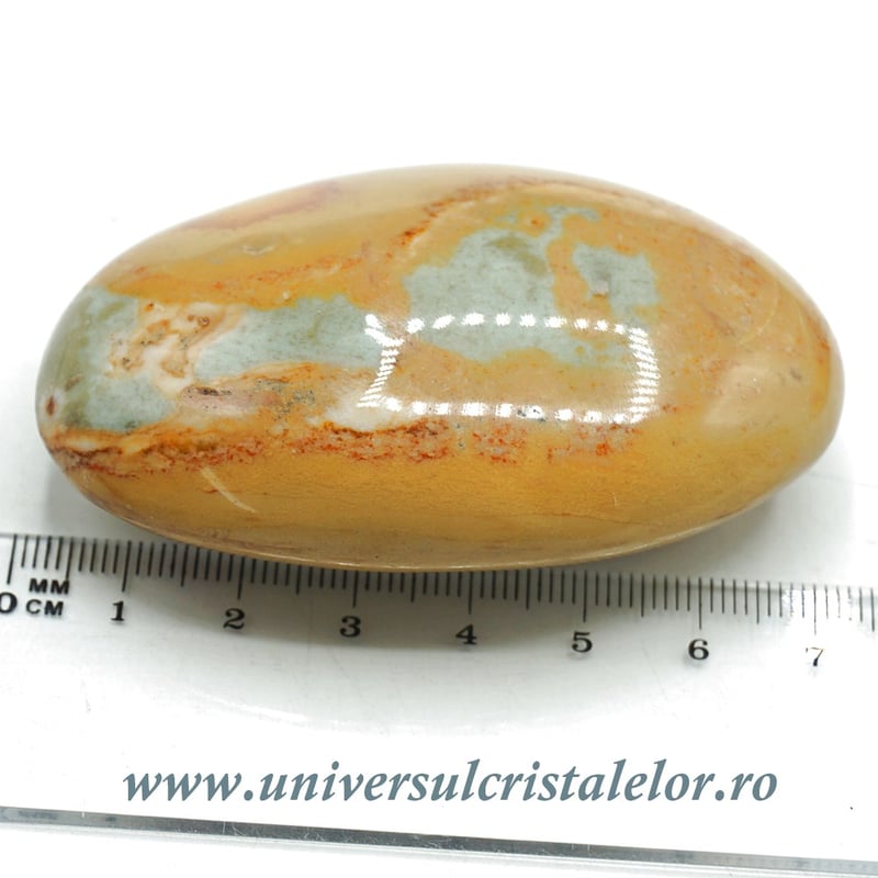 Jasp policrom polisat