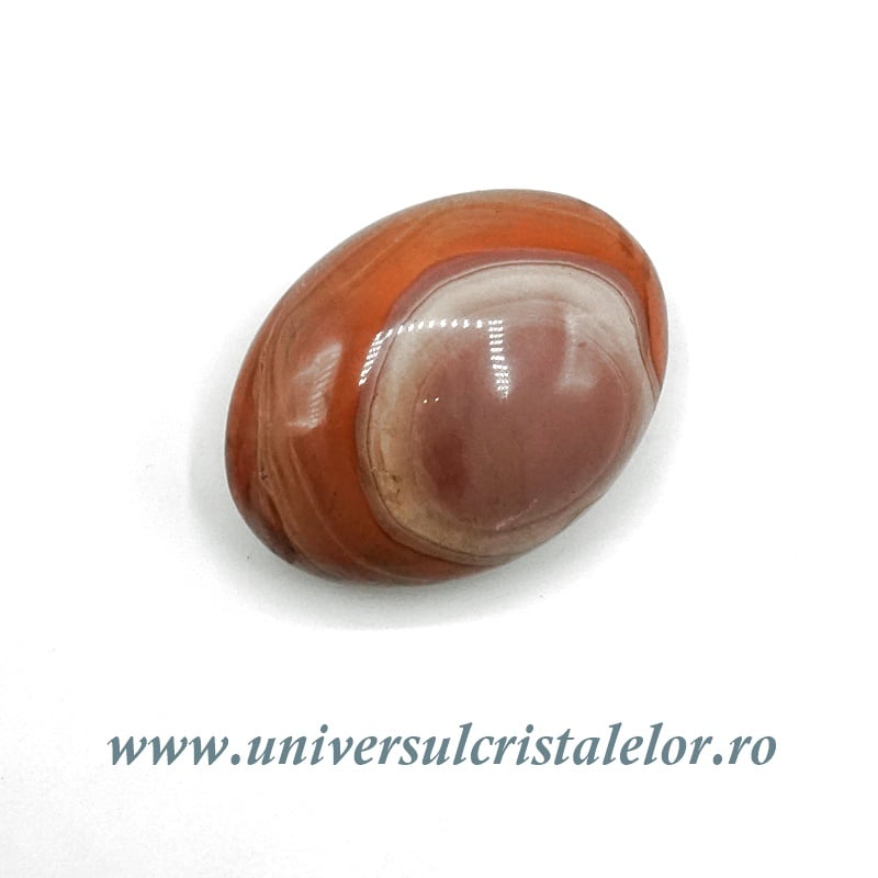 Jasp policrom polisat