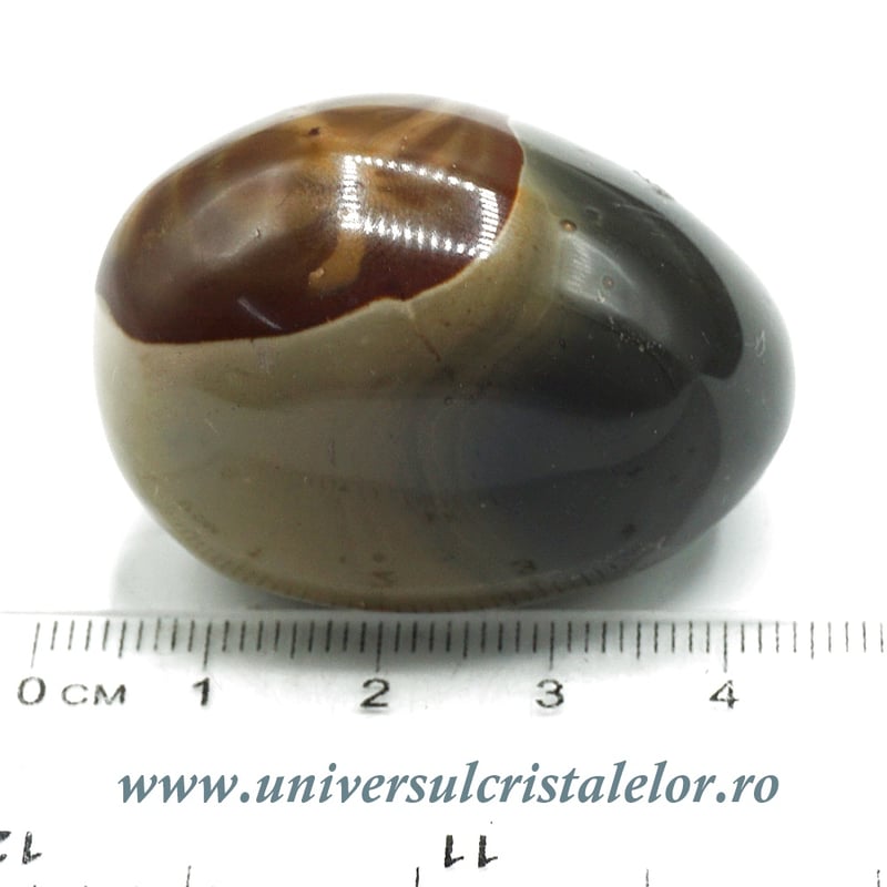 Jasp policrom polisat