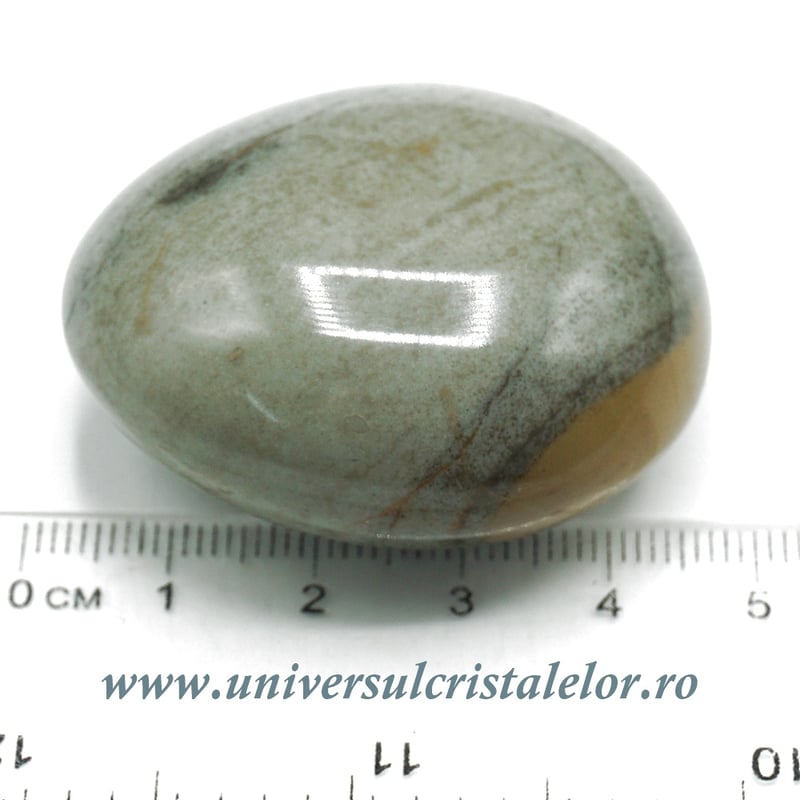 Jasp policrom polisat