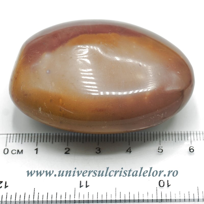 Jasp policrom polisat