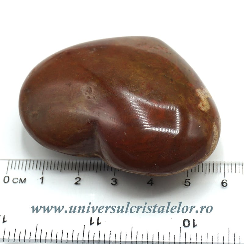 Inima lemn pietrificat