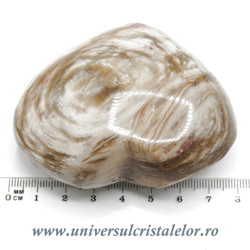 Inima lemn pietrificat