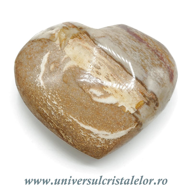 Inima lemn pietrificat