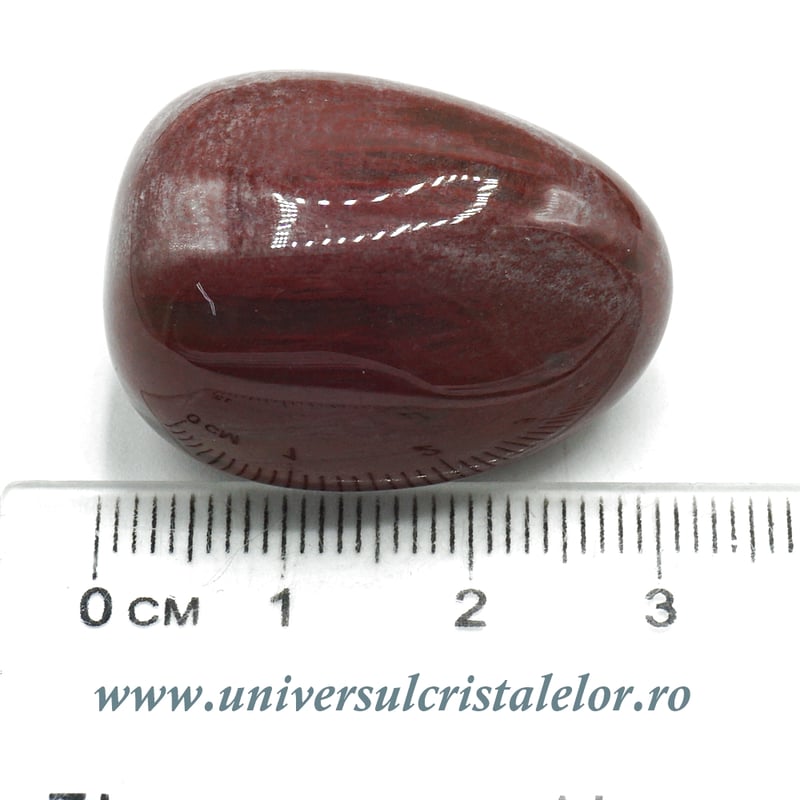 Lemn pietrificat piatra rulata