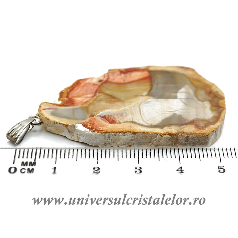 Pandantiv lemn pietrificat