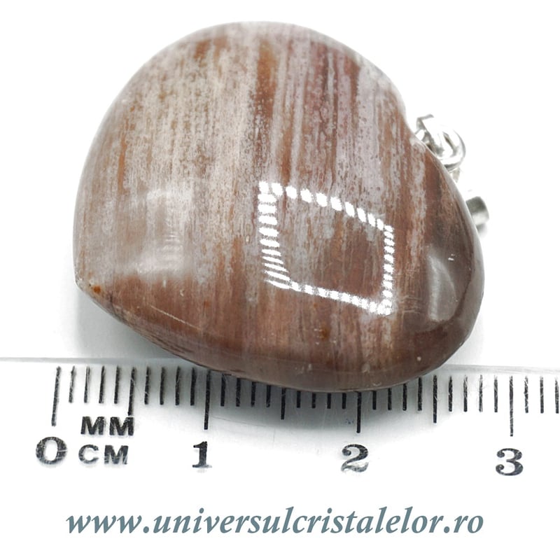 Pandantiv lemn pietrificat inima