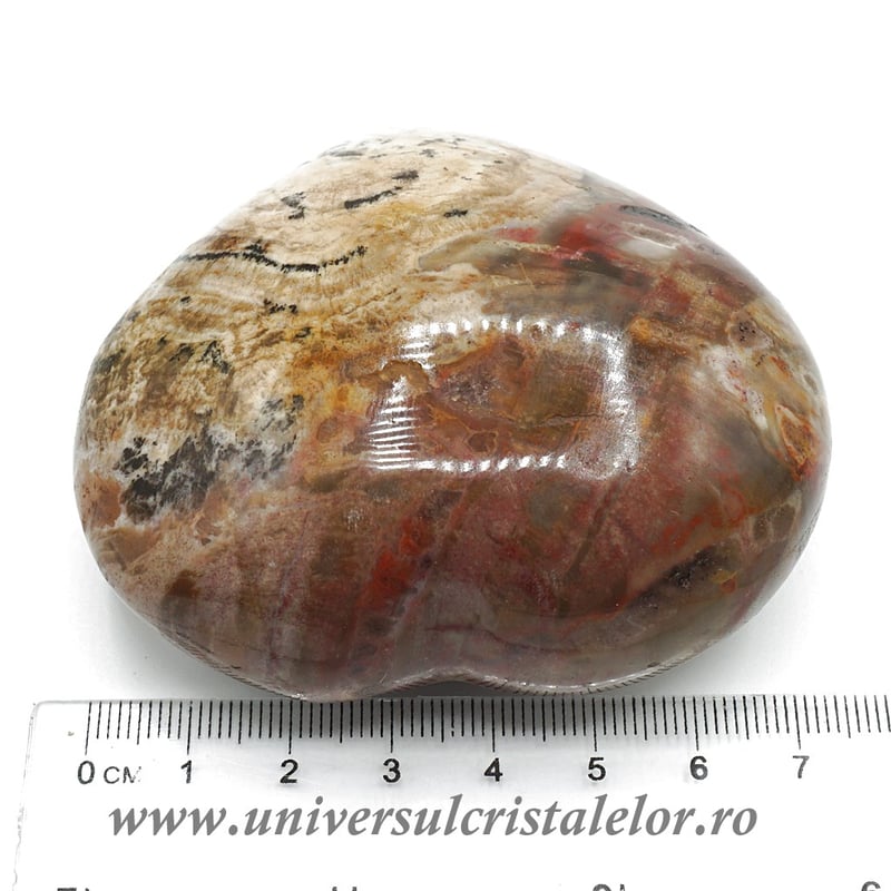 Inima lemn pietrificat