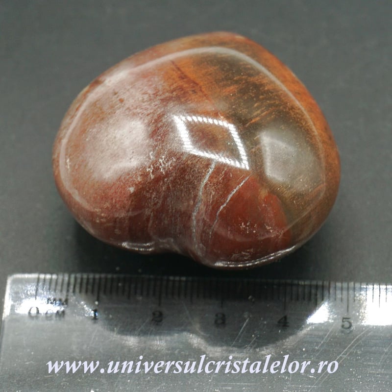 Inima lemn pietrificat