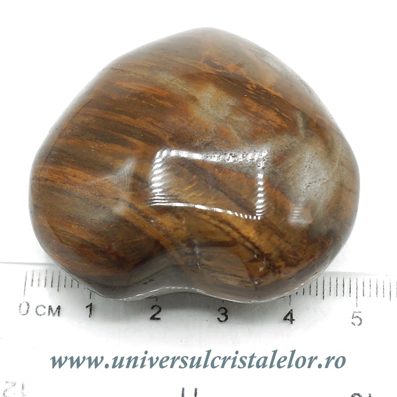 Inima lemn pietrificat