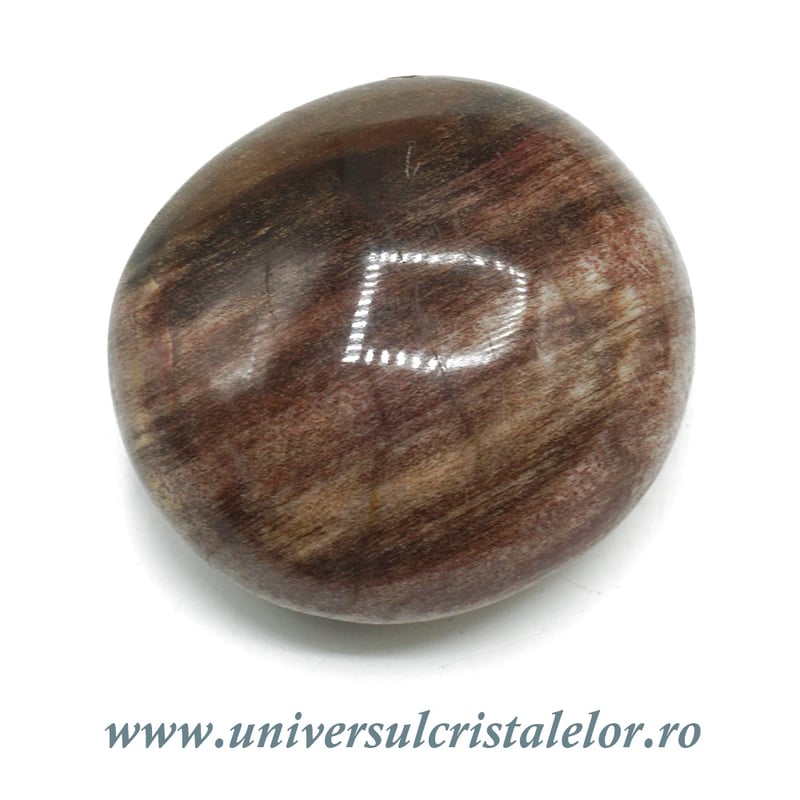 Lemn pietrificat polisat