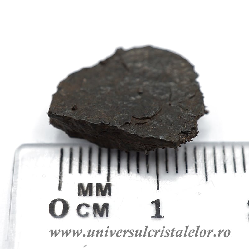 Meteorit Canyon Diablo