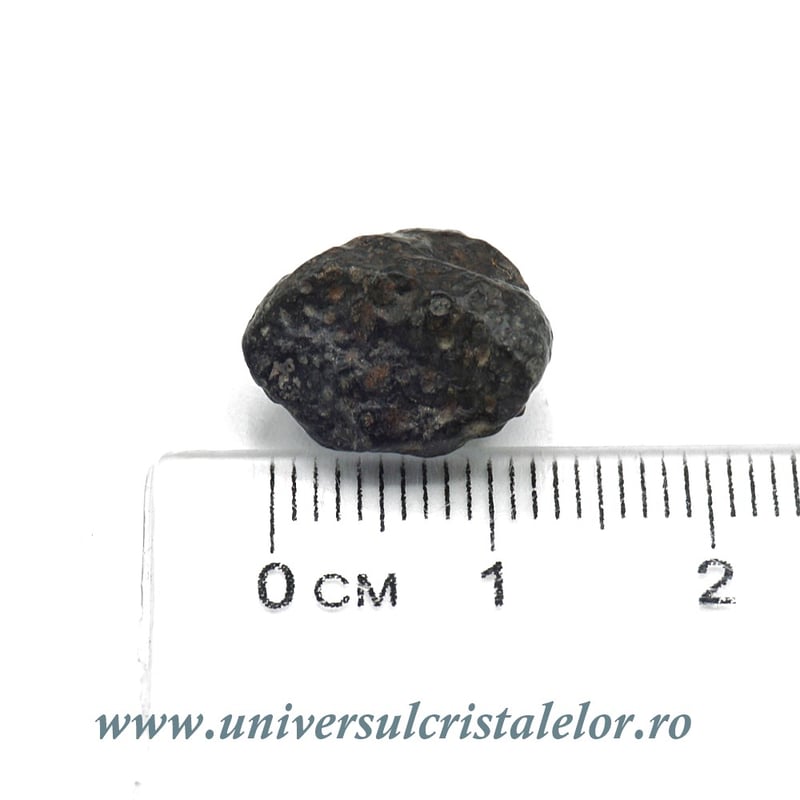 Meteorit Condrit carbonic unicat m01